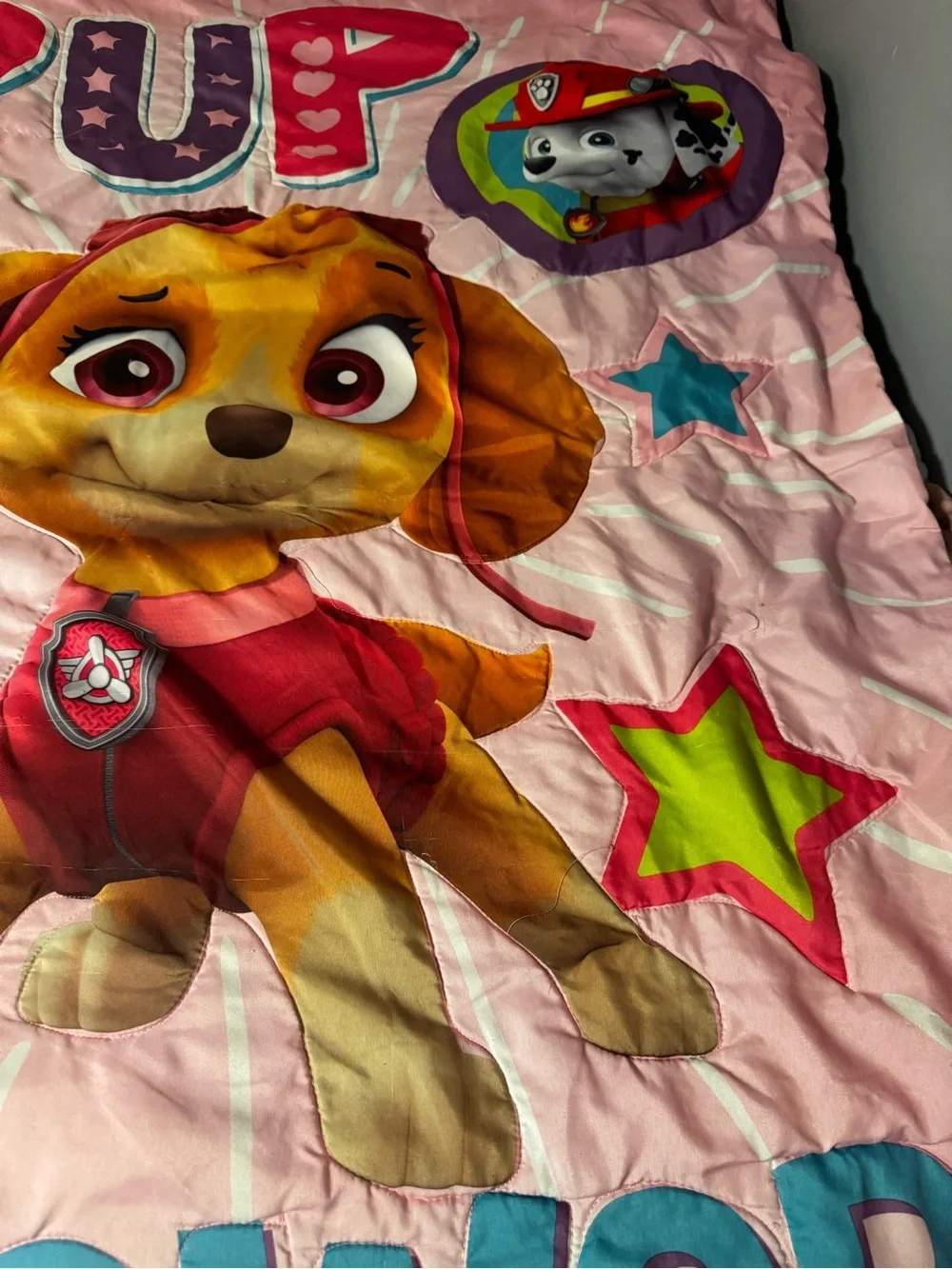 Paw Patrol Toddler Bed Blanket Only “Pup Power”  Pink Graphic Design Lightweight